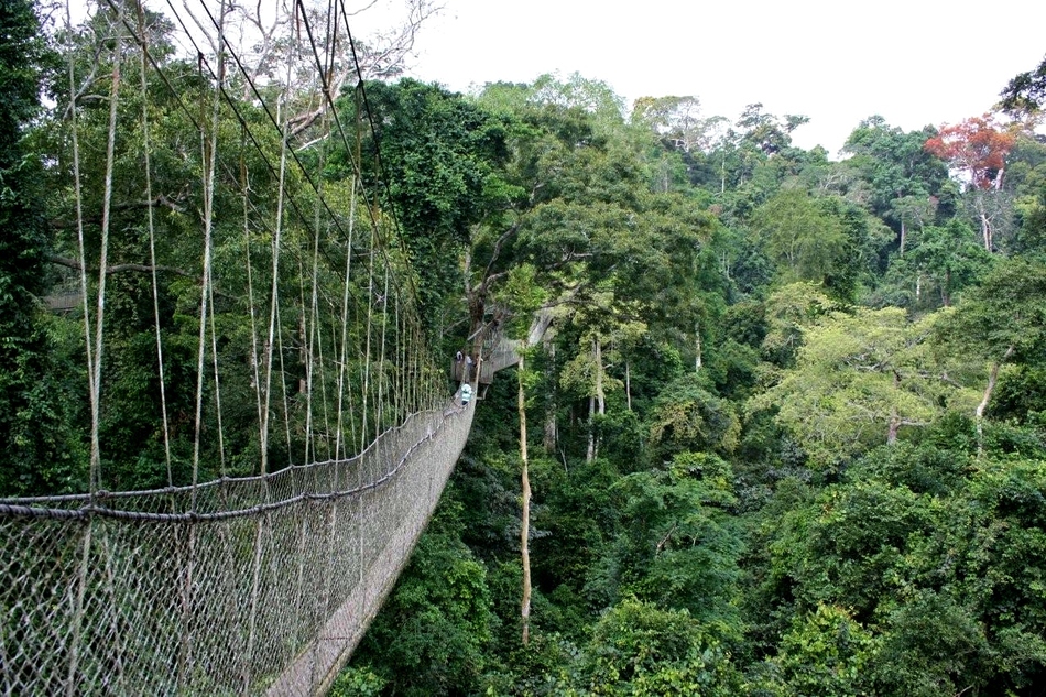 Photograph of Bia National Park